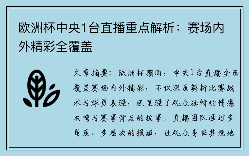 欧洲杯中央1台直播重点解析：赛场内外精彩全覆盖