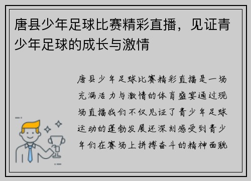 唐县少年足球比赛精彩直播，见证青少年足球的成长与激情
